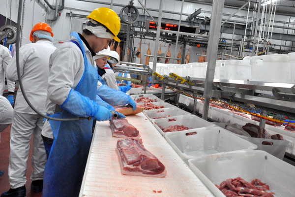 За 10 месяцев производство мяса в Тамбовской области выросло на 12%