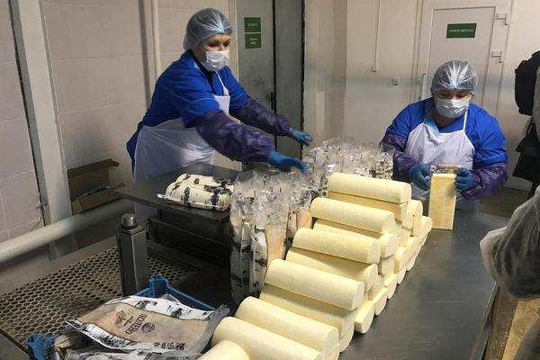 Тамбовские предприятия увеличили производство сыра и сливочного масла