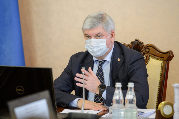 Губернатор потребовал закрепить в генплане Воронежа охрану зеленых зон