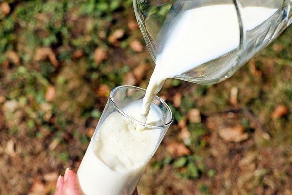 Белгородских молочников ждет апгрейд оборудования на 775 млн рублей