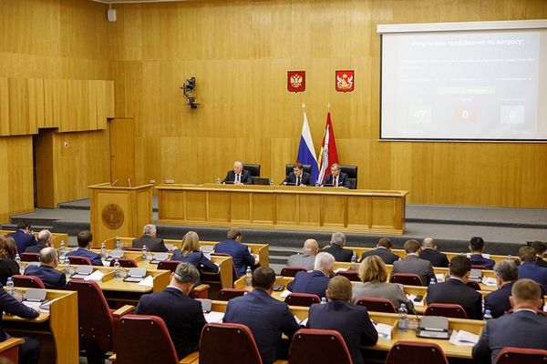 ТФОМС Воронежской области представил депутатам облдумы бюджет на три года
