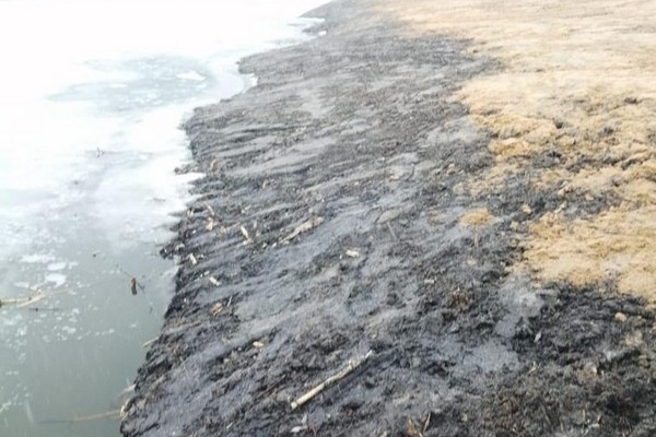 Росприроднадзор подтвердил наличие размываемых грунтов на реке Икорец в Воронежской области