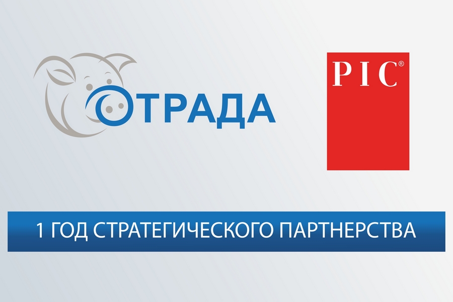 Липецкая компания вывела на новый уровень генетику племенных животных Липецкая компания вывела на новый уровень генетику племенных животных