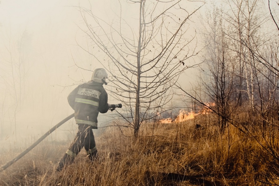 Воронежские прокуроры заинтересовались крупным пожаром в селе Мечетка
