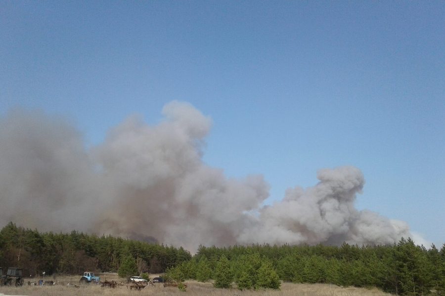 Поджог 400 га леса в Хоперском заповеднике Воронежской области вылился в уголовное дело