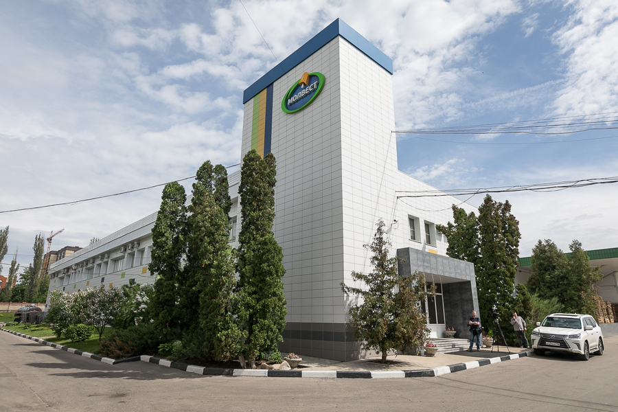 Воронежский «Молвест» по итогам прошлого года нарастил оборот до 28,7 млрд рублей 