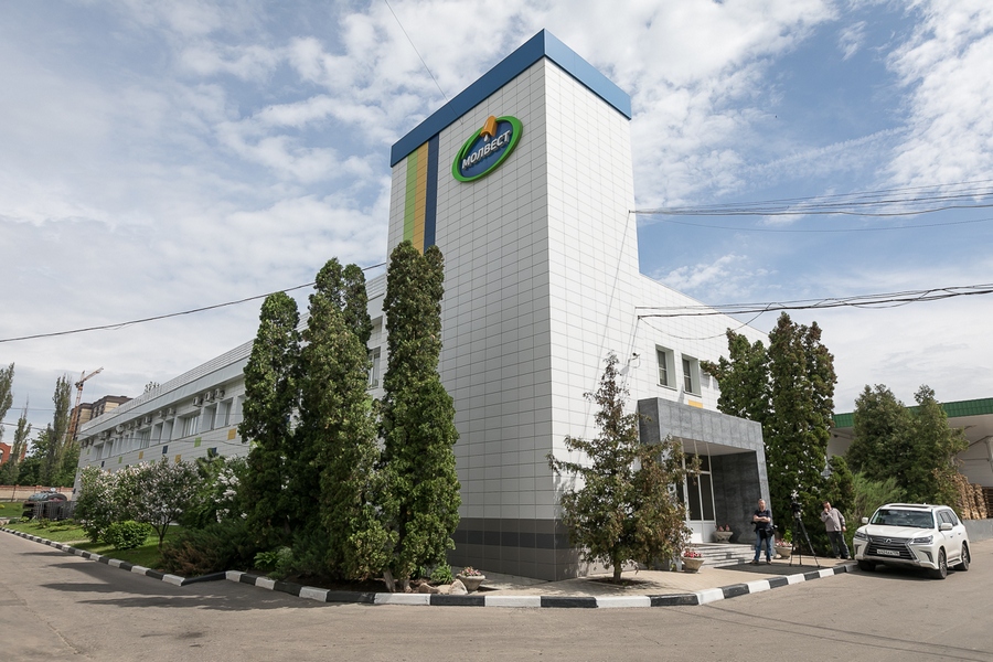 Воронежский «Молвест» мечтает увеличить объем производства сыра на 20% 