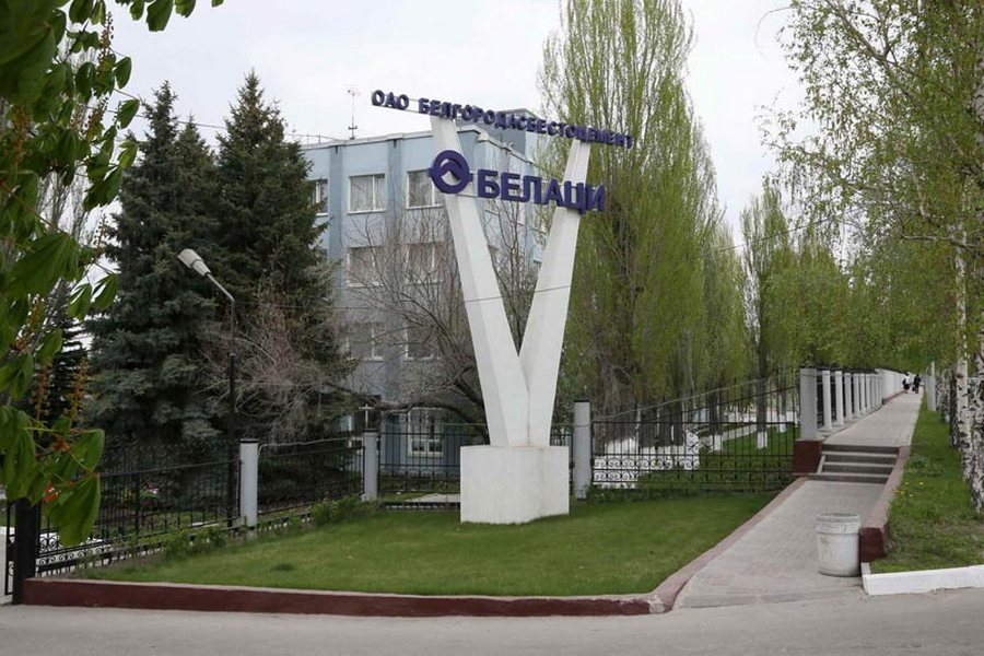 Белгородский завод «Белаци» может возглавить гендиректор дочерней компании