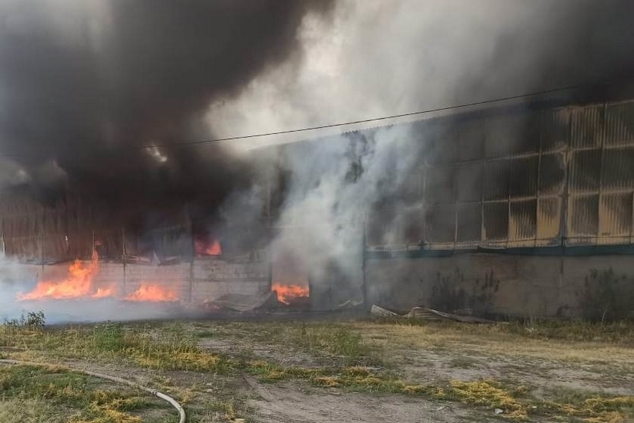 ГК «Благо» прокомментировала пожар на своем воронежском маслозаводе
