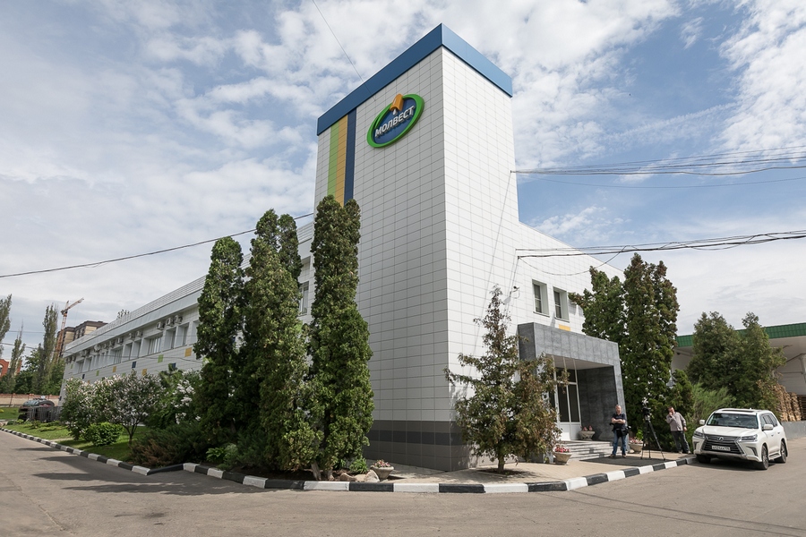 Воронежская ГК «Молвест» по итогам первого полугодия увеличила выручку на 1,3 млрд рублей