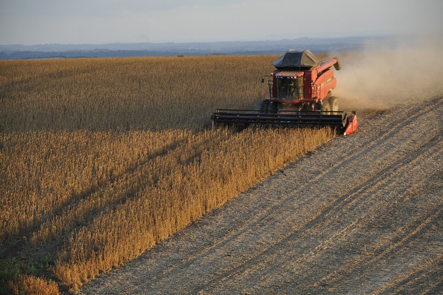 Хозяйство из Воронежа получило 192 млн рублей страховки из-за гибели пшеницы