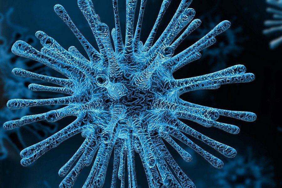 Студенты и преподаватели Курской сельхозакадемии узнали, как предотвратить коронавирус у животных