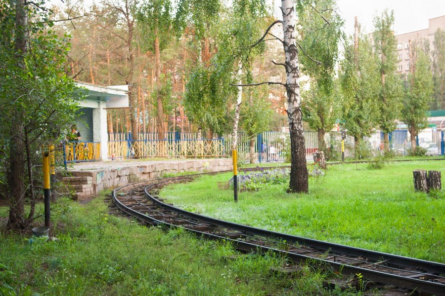 Воронежские власти мечтают передать парк «Танаис» в концессию и реконструировать его за 215 млн рублей