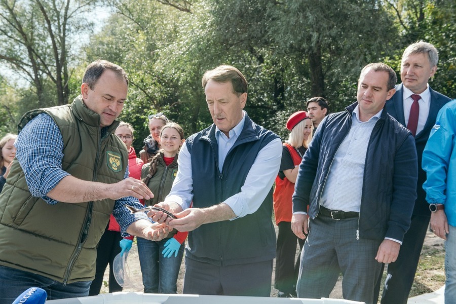 Воронежские экологи запустили в Дон 10 тыс. мальков стерляди для восстановления популяции осетровых