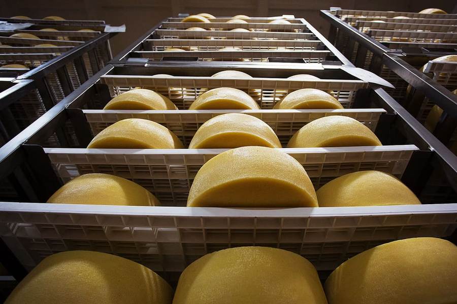 Курский производитель «молочки» погорел на просроченной продукции и регламентах