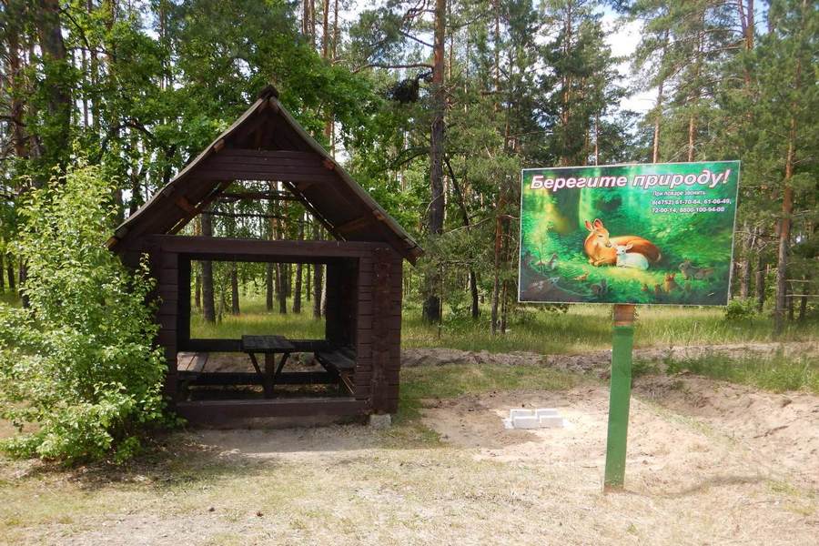 Тамбовская область вновь возглавила экологический рейтинг регионов РФ