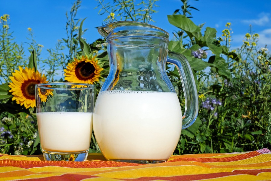 В Тамбовской области начали производить больше молока