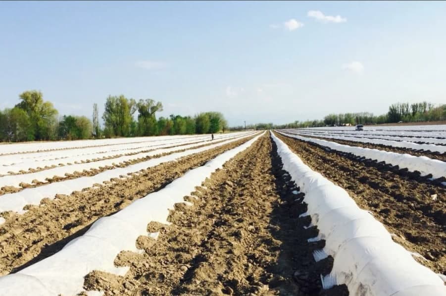 Липецкая компания «Спецагро» планирует запустить производство агропленки почти за 108 млн рублей