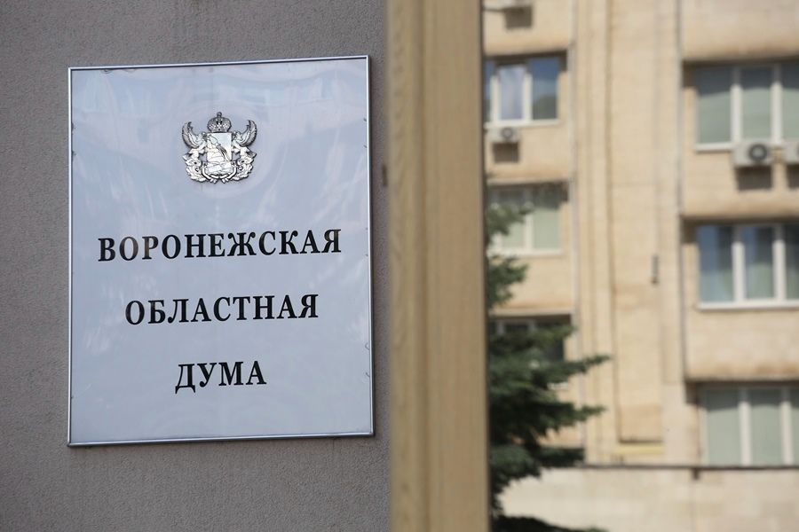 Воронежские депутаты поддержали законопроект о QR-кодах в общественных местах