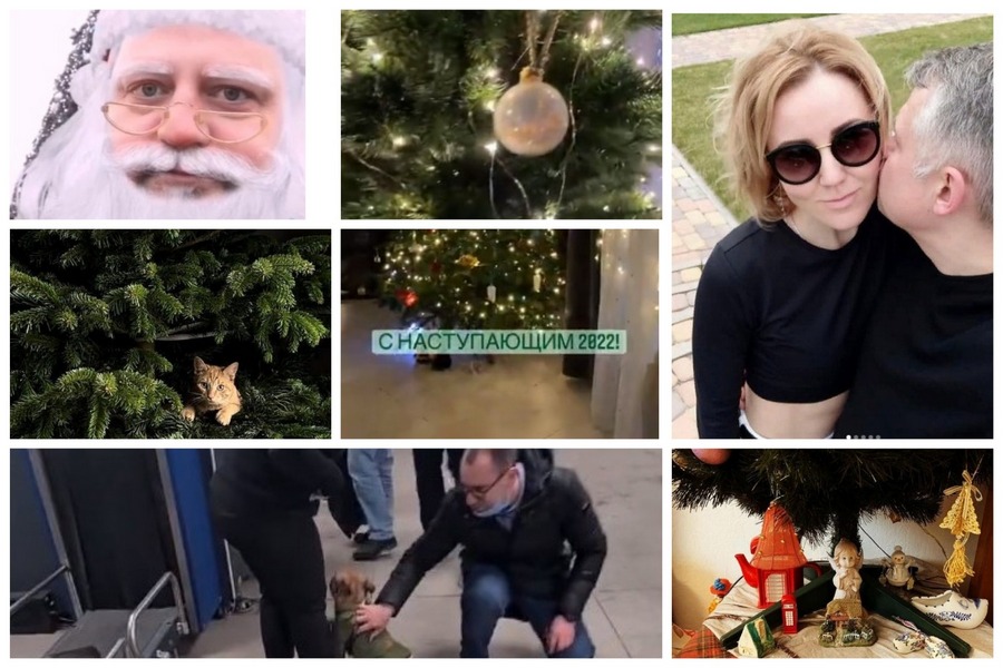 Элиты Черноземья в соцсетях: кот против елки, адвокат для собаки и счастливые 19 лет в браке