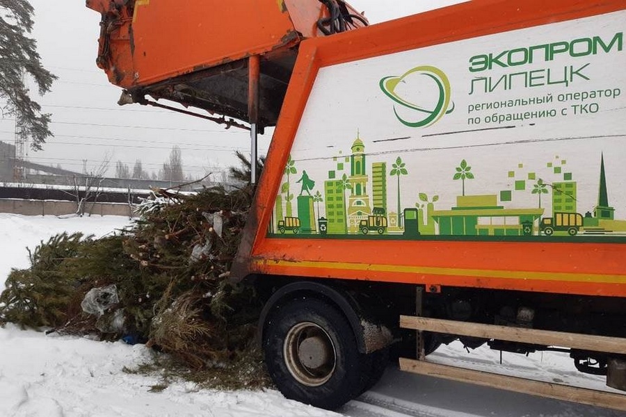 Липецкий регоператор помогает экологично утилизировать новогодние елки