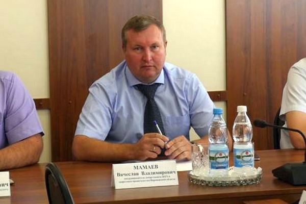 Вячеслав Мамаев утвердился в кресле главы Грибановского района Воронежской области