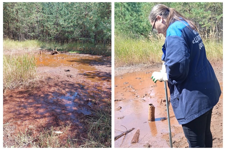 Росприроднадзор провел выездное обследование загрязненной почвы в Новохоперском районе Воронежской области