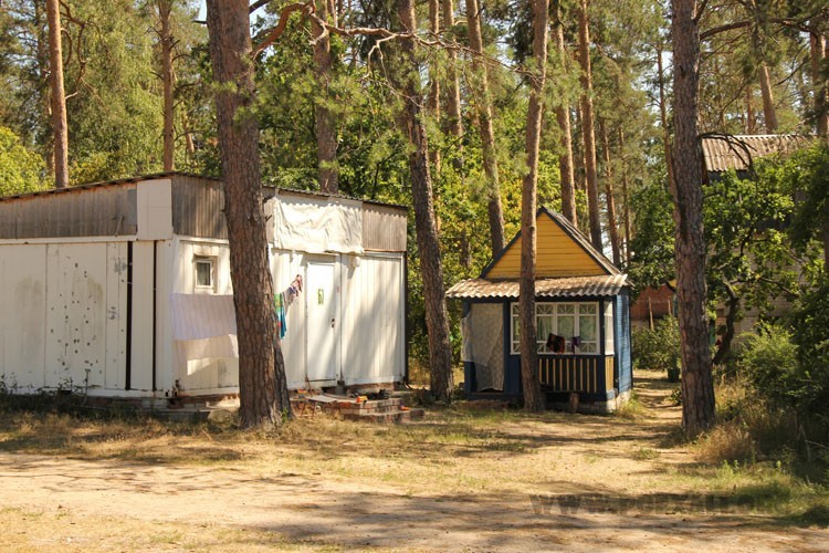 Бывший арендатор турбазы «Росинка» продолжает бороться с мэрией Воронежа за объект