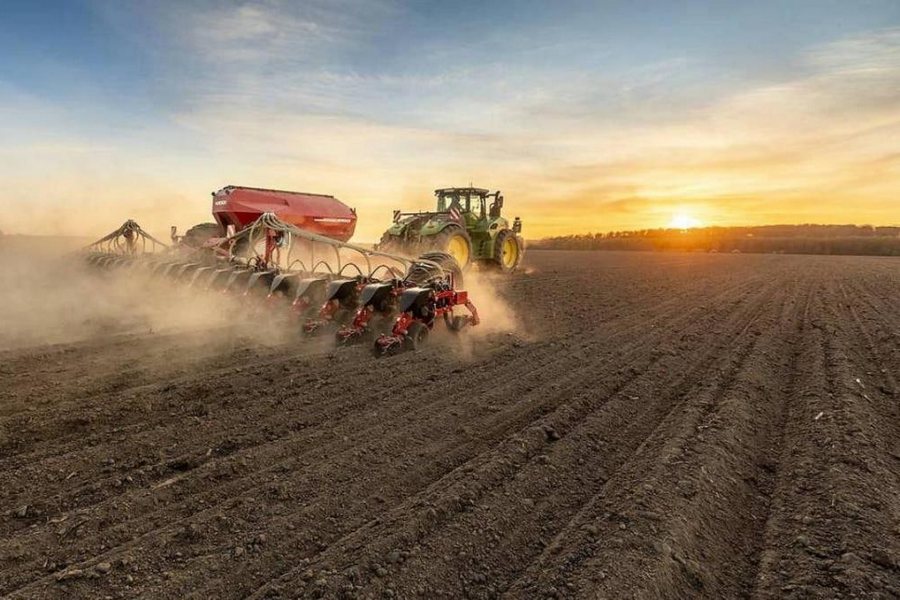 Экспорт зерна из Курской области увеличился на 20% – до 61 млн долларов