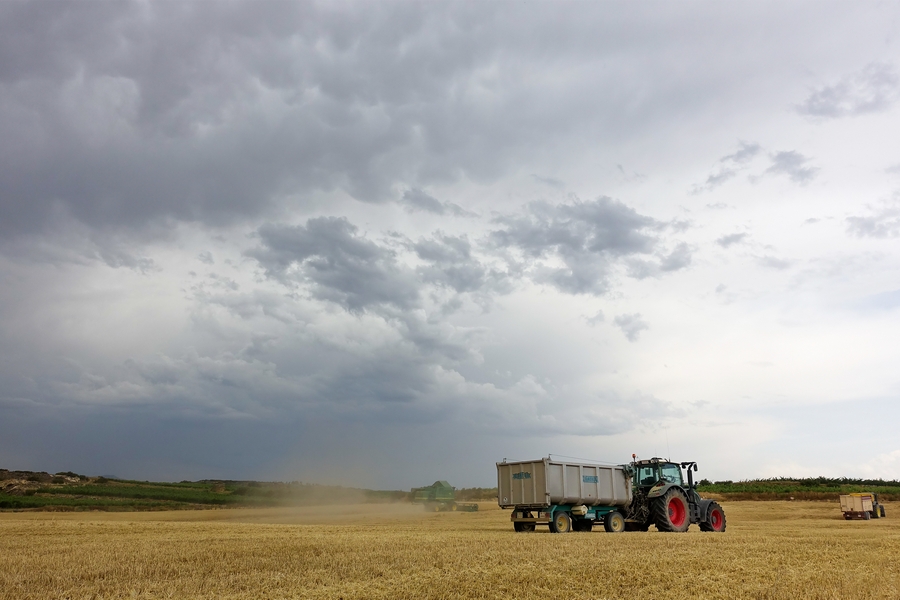Сельхозпроизводители Черноземья могут не получить страховую компенсацию за погибший урожай