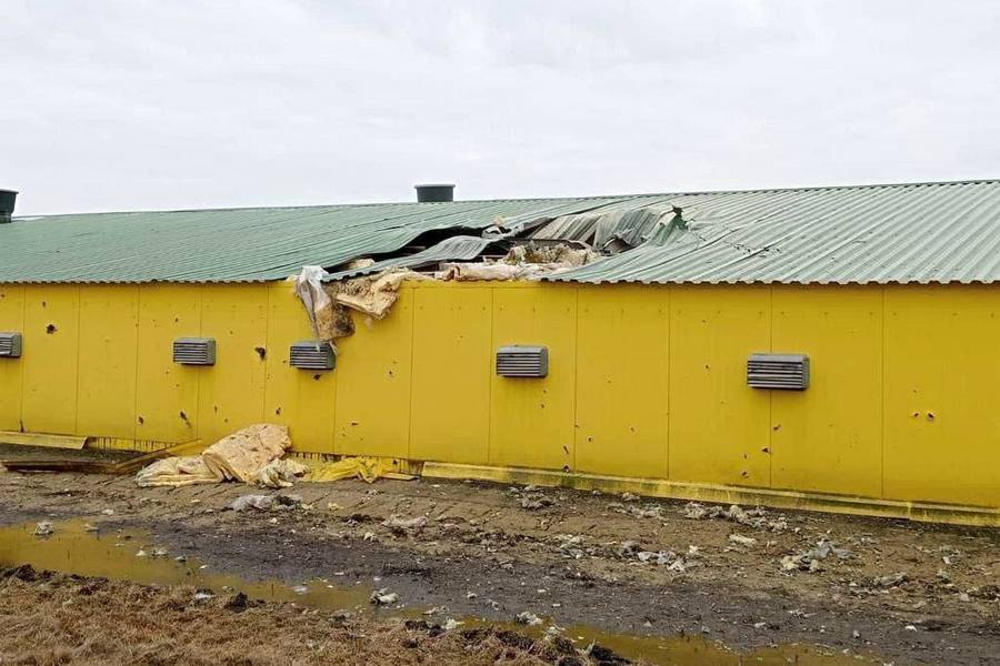 Белгородский ФРП докапитализируют на полмиллиарда для помощи пострадавшим от обстрелов предприятиям