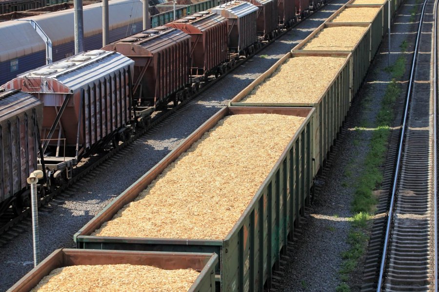 Курская и Орловская области внесли наибольший вклад в резкий рост отгрузки зерна на Московской железной дороге