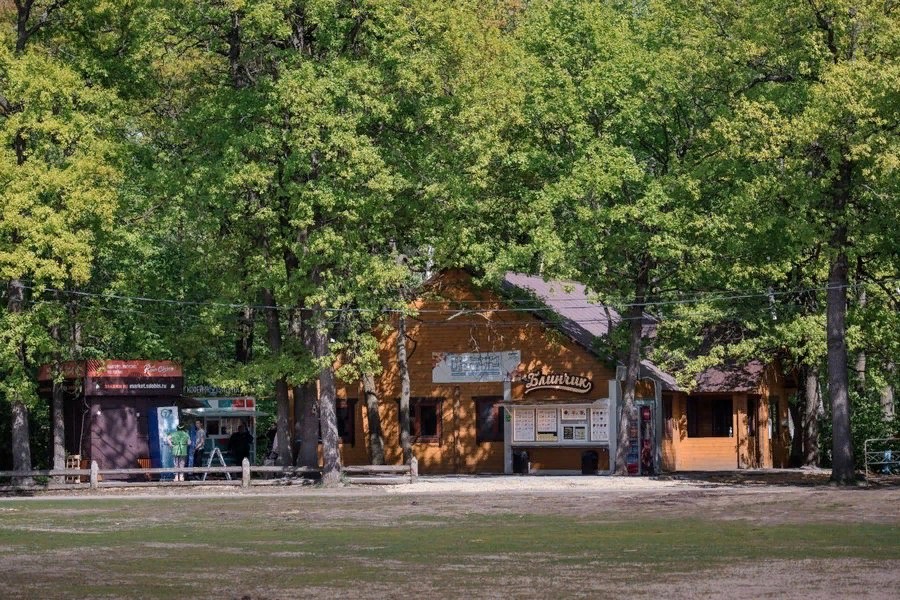 В Воронеже провалился поиск подрядчика для благоустройства «Олимпика» за 54 млн рублей