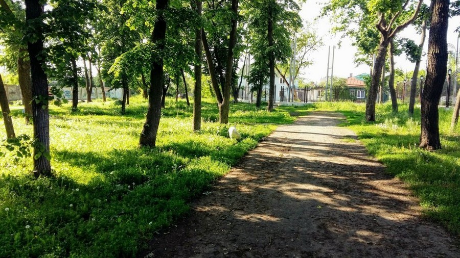 Мэрия с помощью концессионеров хочет привлечь 90 млн рублей инвестиций в два крупных парка Воронежа
