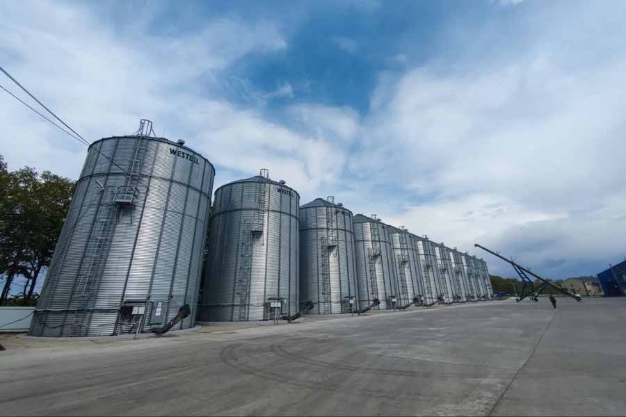 Курский завод гибридных семян «АгроТерра» выйдет на полную мощность через три года
