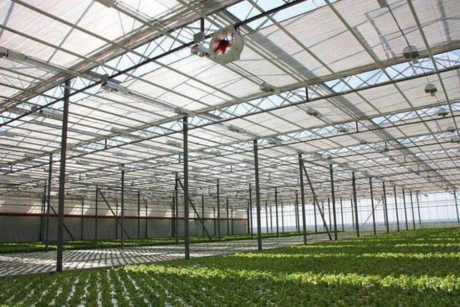 Курские теплицы разорившегося «Агропарка» выставят на продажу почти за 1,8 млрд рублей
