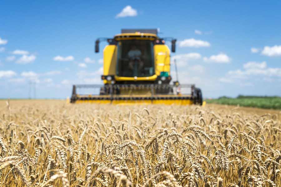 Сельхозпроизводители регионов Черноземья могут получить льготный кредит на развитие бизнеса