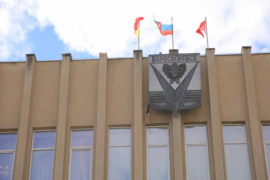 В преддверии выборов воронежского губернатора жителей Борисоглебска призвали свергнуть «зажравшихся чиновников»