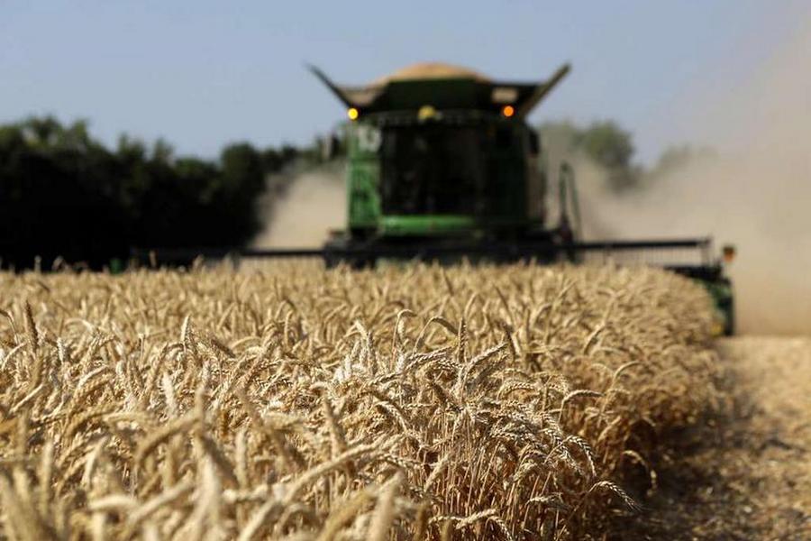 Активы и права требования Белгородской зерновой компании попробуют продать за 144 млн рублей    