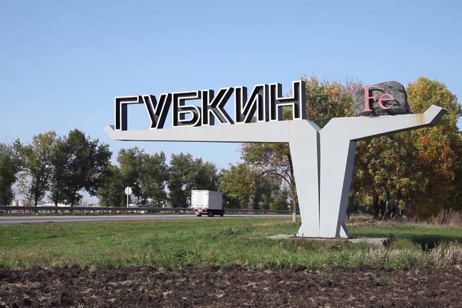 В белгородской ТОСЭР может появиться кормовой завод почти за полмиллиарда рублей