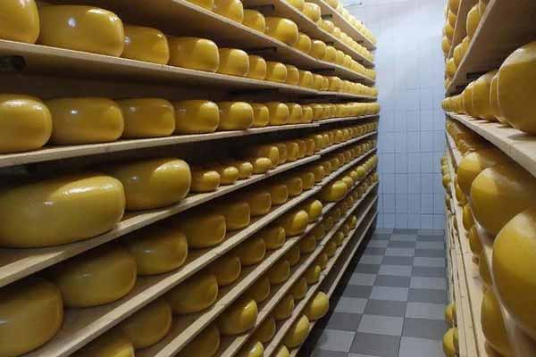 ГК «Нева Милк» удвоила инвестиции в курский сырный завод – до 2 млрд рублей