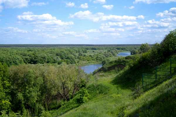 Скандал с перекрытой дорогой в селе связали с обесцениванием земли у реки Воронеж