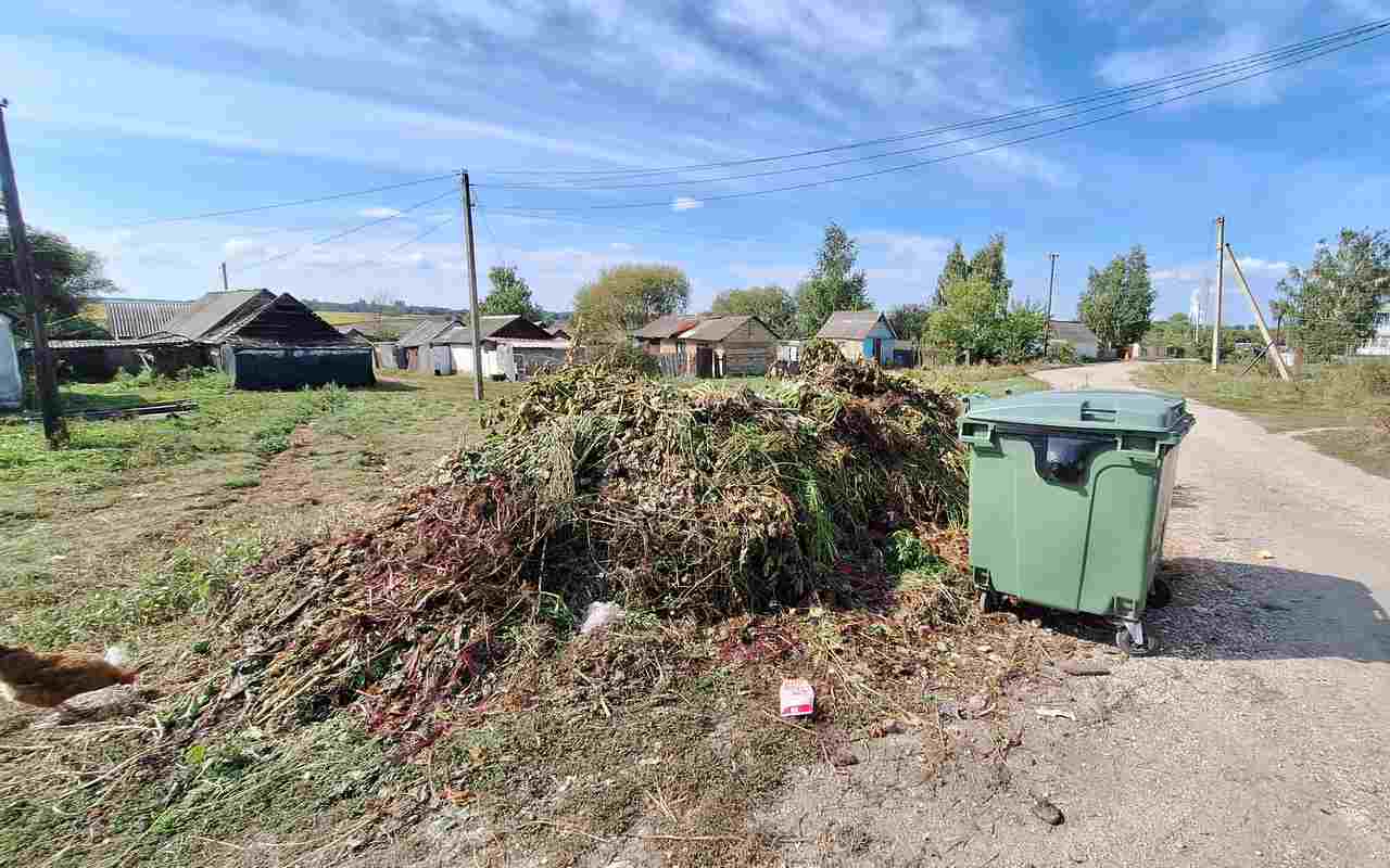 Из-за кого в Воронежской области буксует мусорная реформа?
