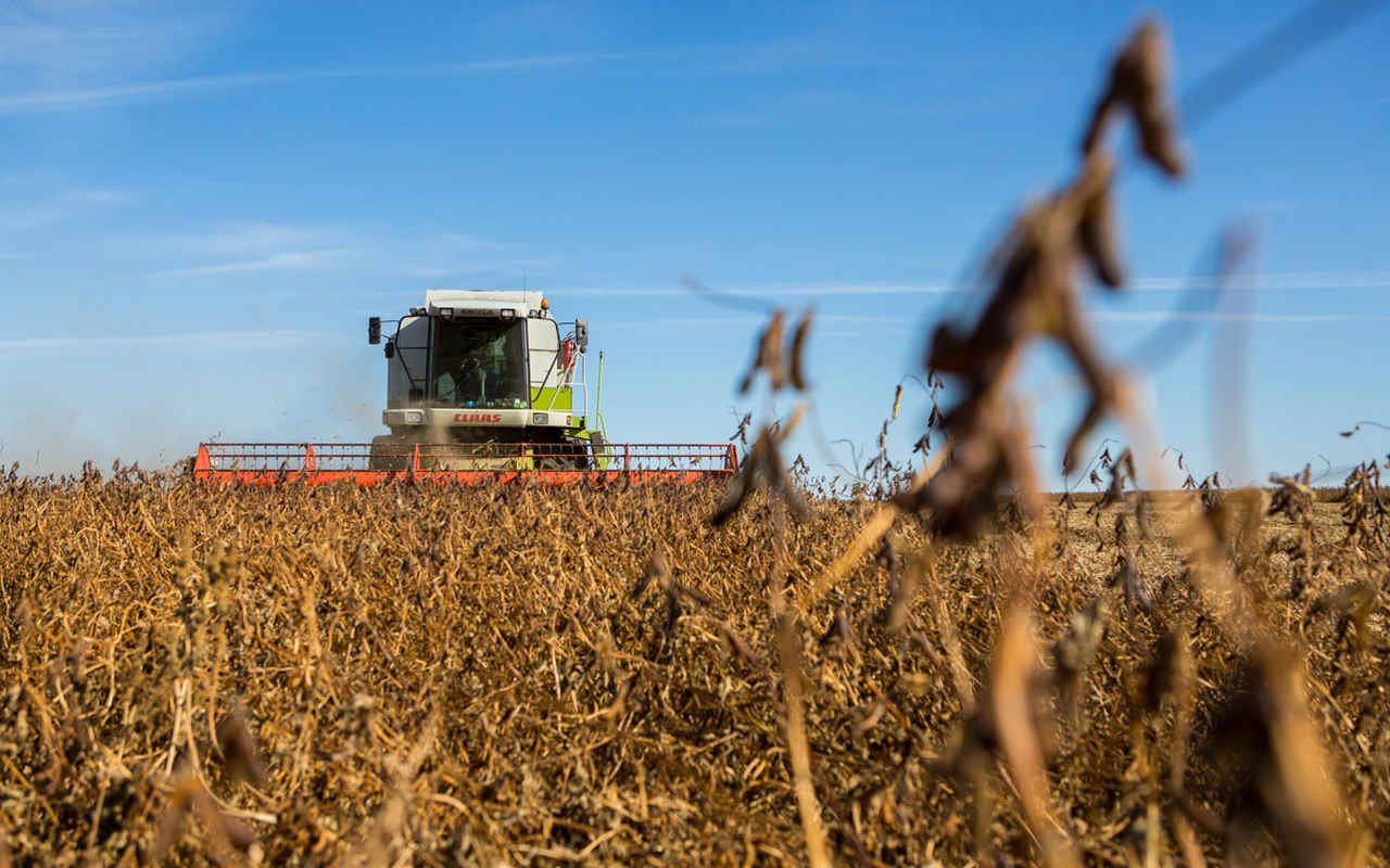 Воронежский «Продимекс» успел посеять озимую пшеницу до первого снега