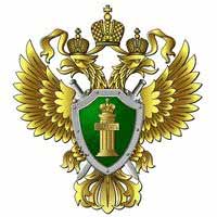 Прокуратура не смирилась с «условкой» для экс-главы орловского депстроя Прокуратура не смирилась с «условкой» для экс-главы орловского депстроя